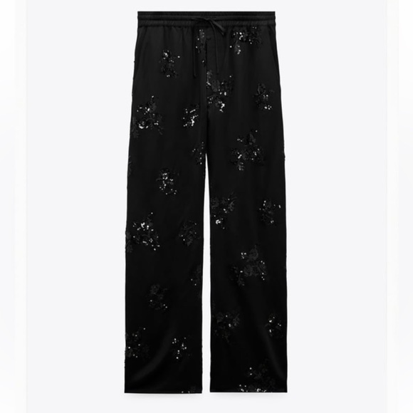 Zara sequined embroidered pants - Picture 4 of 8